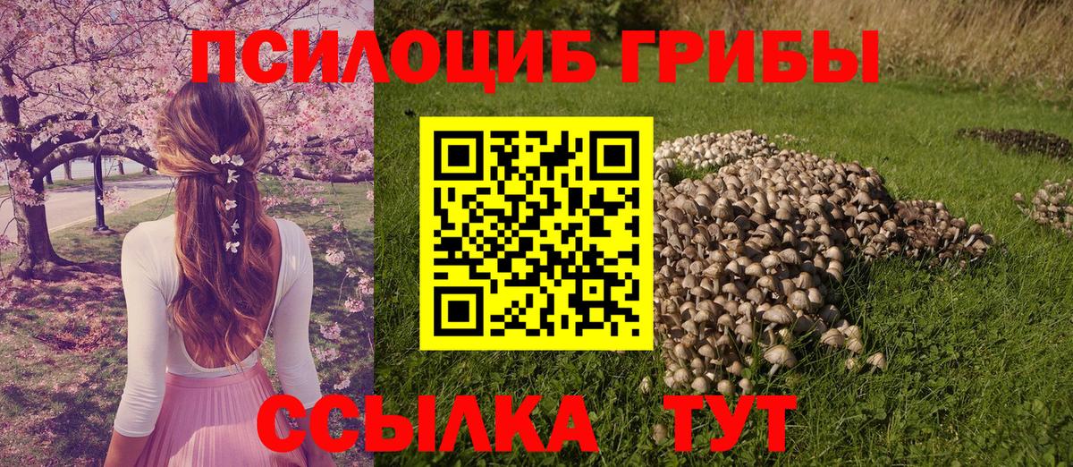 Псилоцибиновые грибы Magic Shrooms Вичуга